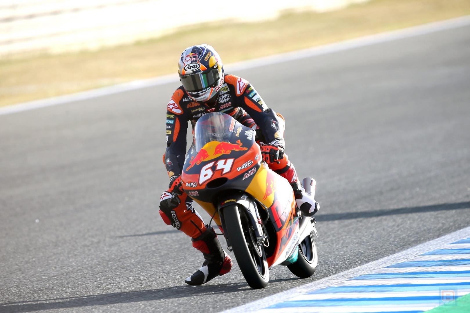 bendsneyder