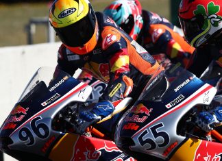 red-bull-motogp-rookies